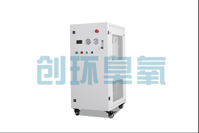 定安2026年南美白对虾循环水养殖系统(RAS)臭氧消毒完整指南