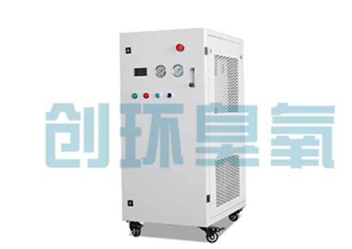 定安石斑鱼养殖水质调控完整指南：臭氧发生器配置与操作步骤