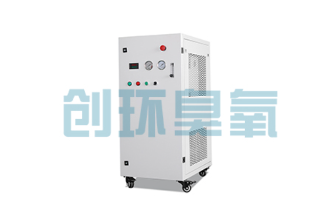 定安比传统换水更高效？臭氧发生器在石斑鱼养殖中的水质净化原理解析